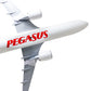 Pegasus Airlines Airbus A-321 Neo 1/100 Aircraft Model - TurkishDefenceStore
